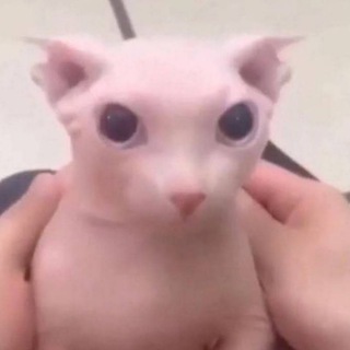 Говна навернул