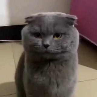 Грани фантастики