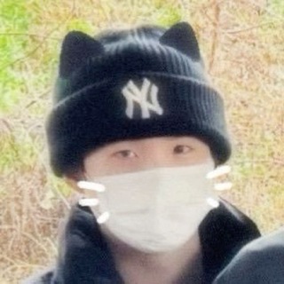 серые ромашки