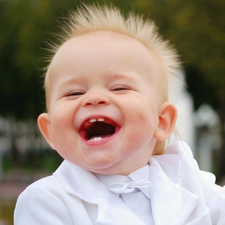 Юмор/мемы/смешные видео.