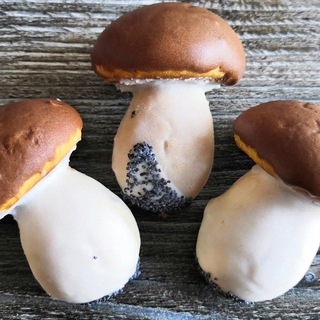 Грибы и рыбалка в Подмосковье