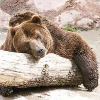 Мысли шатуны