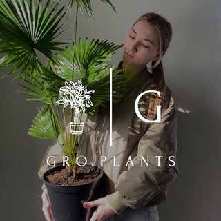 Gro.plants - растения Казань 🌿