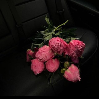 𝓢𝓪𝓭 𝓭𝓾𝓼𝓱𝓲🫀