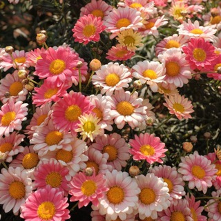 про развитие и любовь к себе