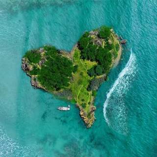 proTravel - Путешествия и туризм