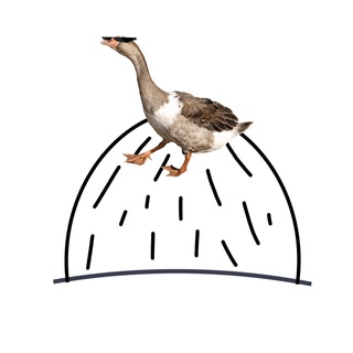 стильный гусь на сене