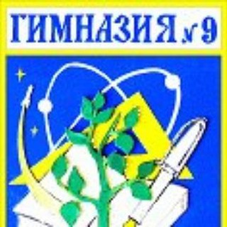 Гимназия 9 Королев