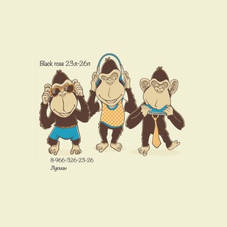 садовод 23-26