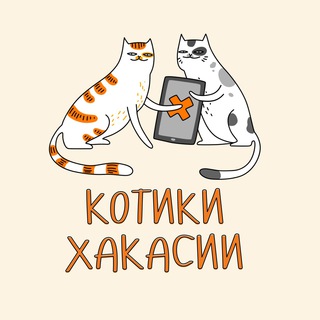 Котики Хакасии :3