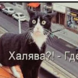 Халява промокоды скидки