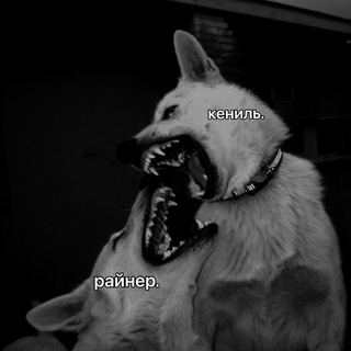 🇲🇽𝑯𝑨𝑳𝑰𝑪𝑲𝑶🇲🇽