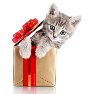 Халява: Промокоды, Акции, Бонусы