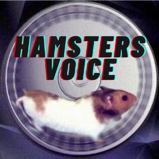 🐹Hamster's voice