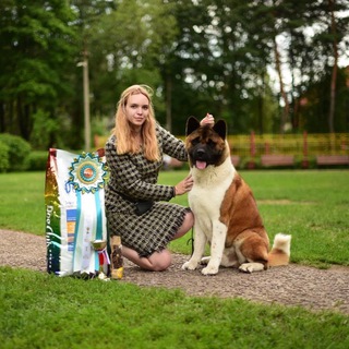 Професиональный Хендлер Елизавета Данилевская Москва