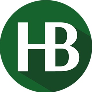 Время31 Новости Губкина