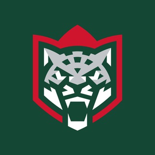 ХК «Ак Барс»