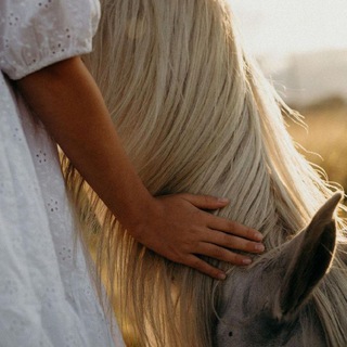 Счастье в мелочах!⚡