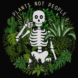 🪴 Helen's Jungle 🪴