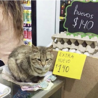 Борн ин Харьков 🇺🇦