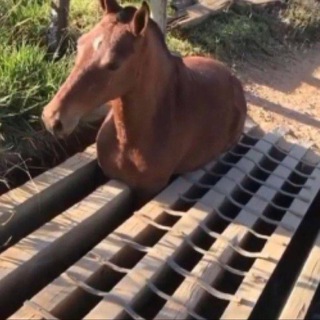 злая матильда😓