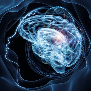 Работа∣Обнал∣СНГ Darkcat™ (ᵔᴥᵔ)