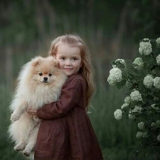 СчастливыеСобаки-свободные щенки на канале. Если статус свободен, значит щенок актуален и ждёт семью. @Oboronov92