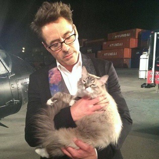 сюда я ворую мемы