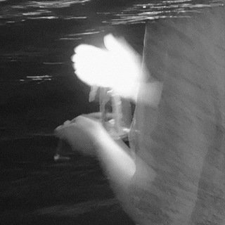 белый день.