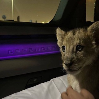 SKY | официальная группа гаранта