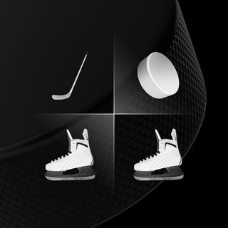 Клюшка, шайба, два конька