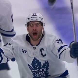 ястребица хоккейная птица