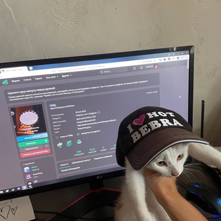 модер или можер?