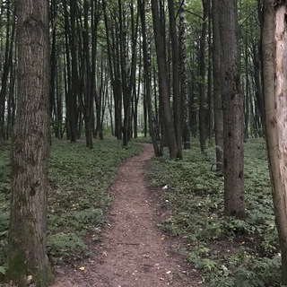 Литераторъ на полставки