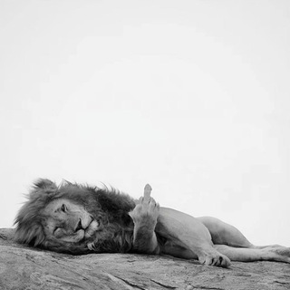 𝐇𝐎𝐌𝐈𝐄.𝐄𝐀7 ♱