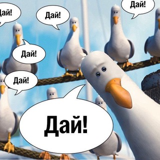 Кальянная чайка 🎁База розыгрышей