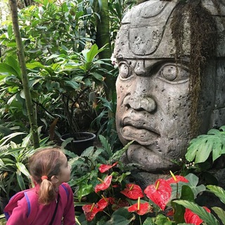 Аптекарский огород МГУ