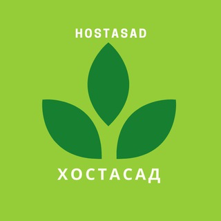 Хостасад 🌱