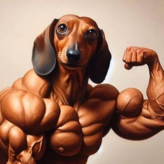 пуки каки катсу