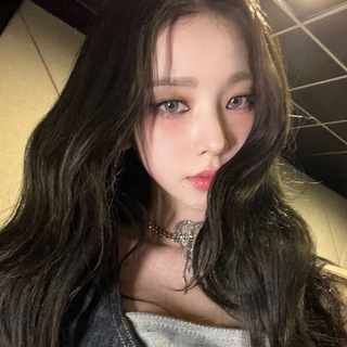 ⋆ 🐈 ˚₊‧ norwegian forest