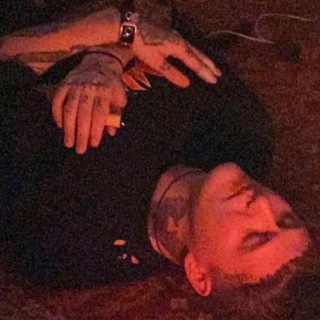 куст малины крадуна🎄