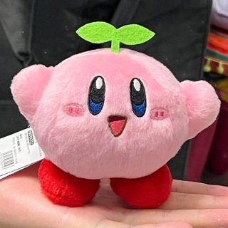 королевство жаб