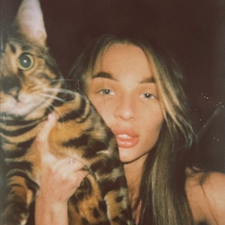 Кошек записки