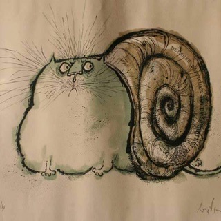 Цветы и котики