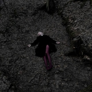 Котик вампирчик