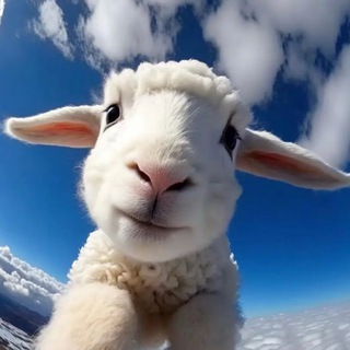 krapivinast вещает | настечка крапивина думает думы