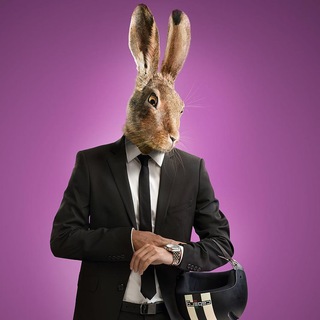 Нора Анонсов стримов