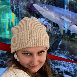 Тупорылая акула