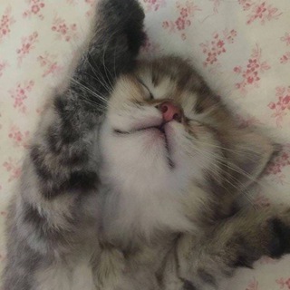 хот беб (Naked Stars 🍼14+)