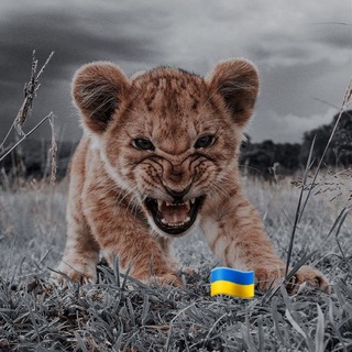 🔥Hot Music/Музика/Пісні 🔥